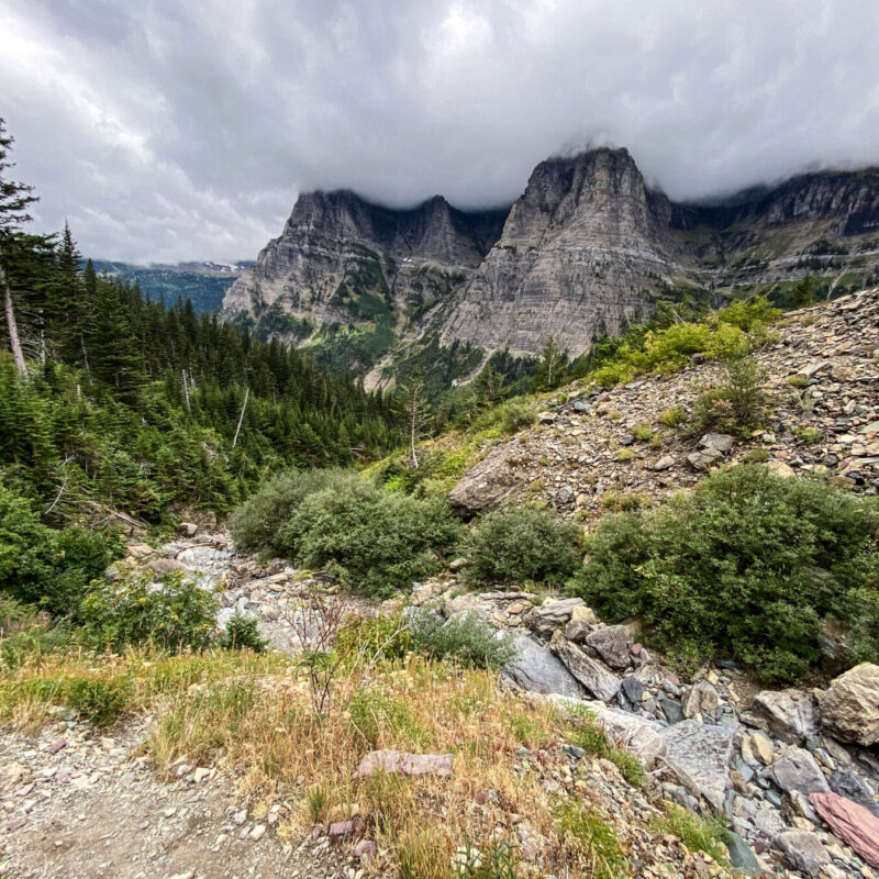 Glacier - Brown Pass