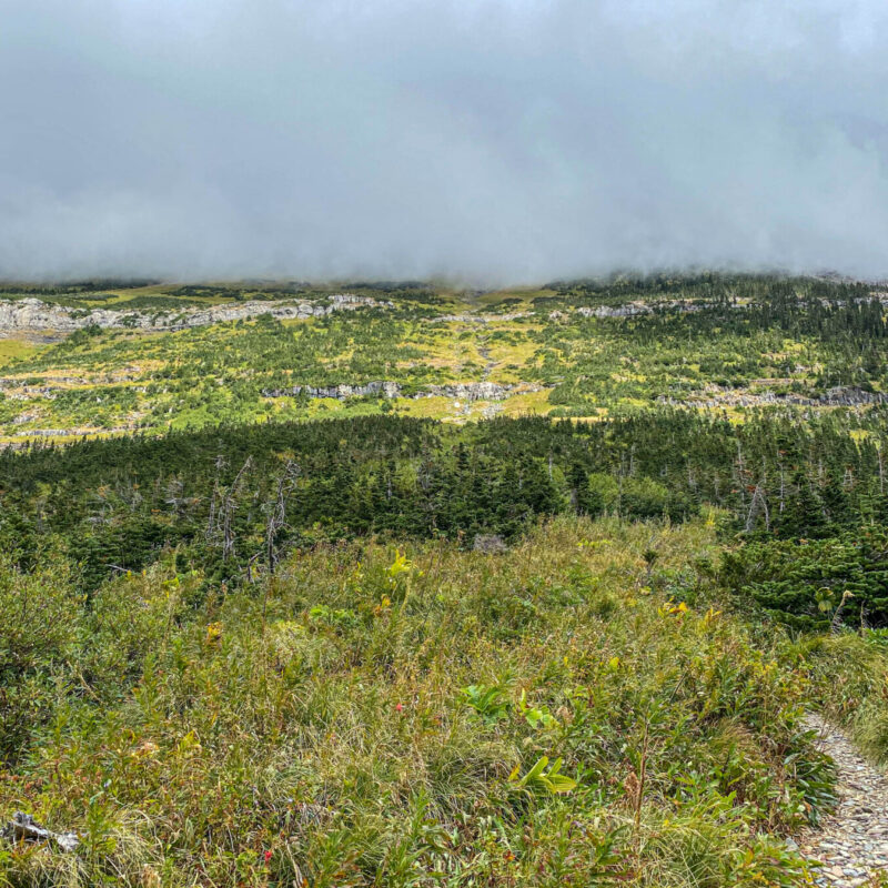 Glacier - Brown Pass