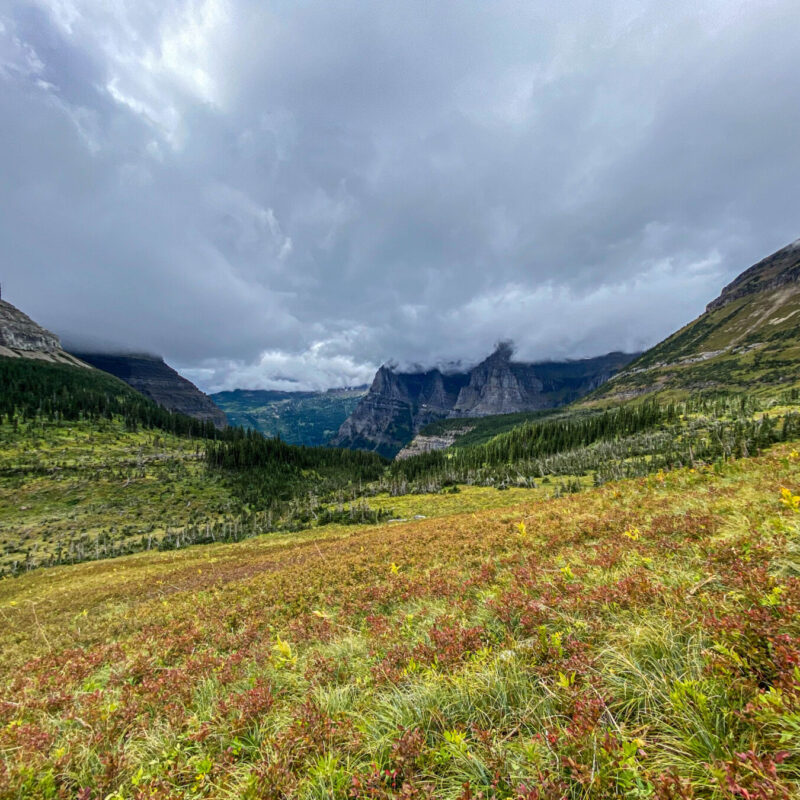Glacier - Brown Pass