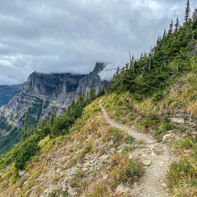 Glacier - Brown Pass