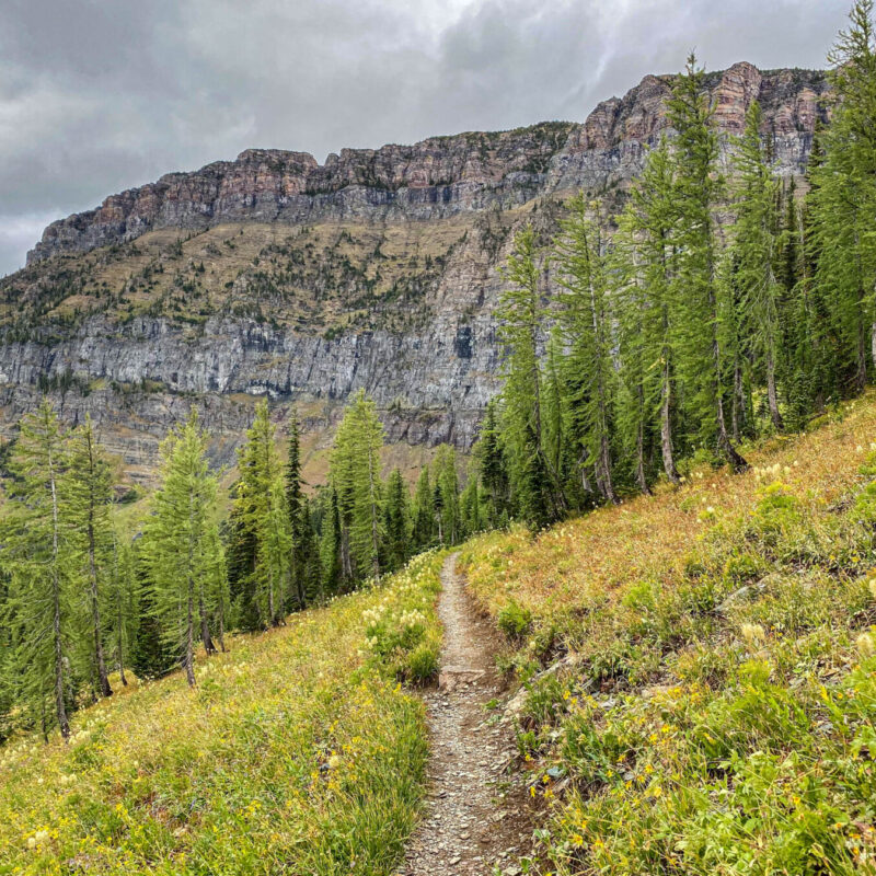 Glacier - Boulder Pass