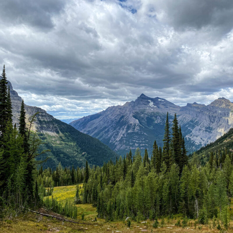 Glacier - Boulder Pass