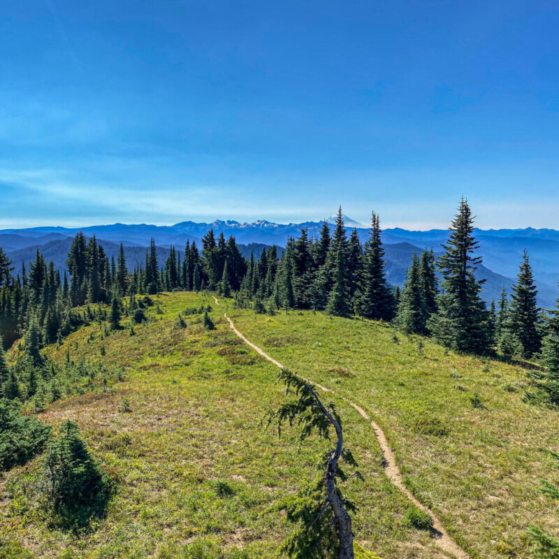 Rainier - Shriner Peak