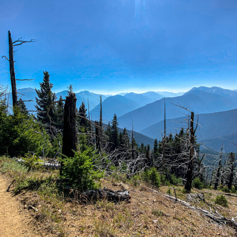 Olympic - Three Forks Trail