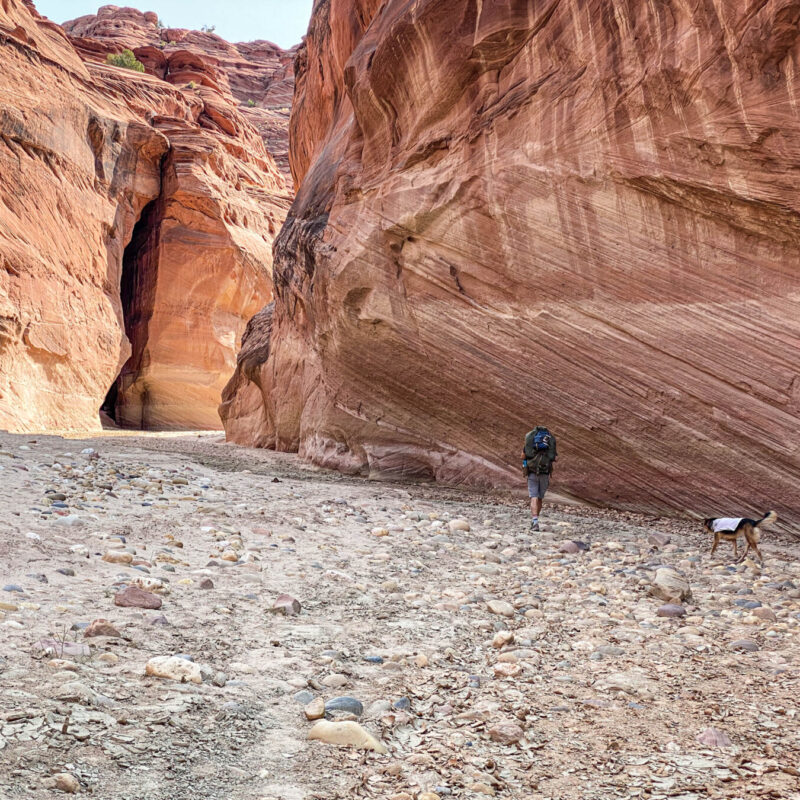 Paria Canyon