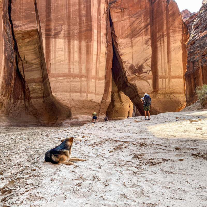 Paria Canyon