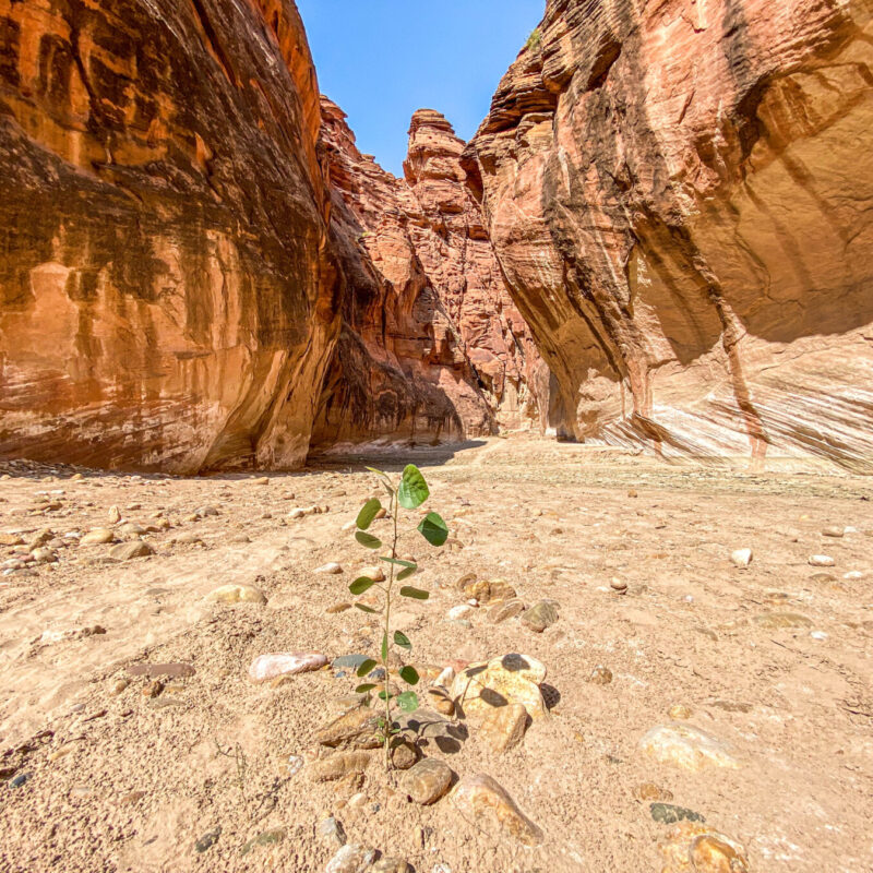 Paria Canyon