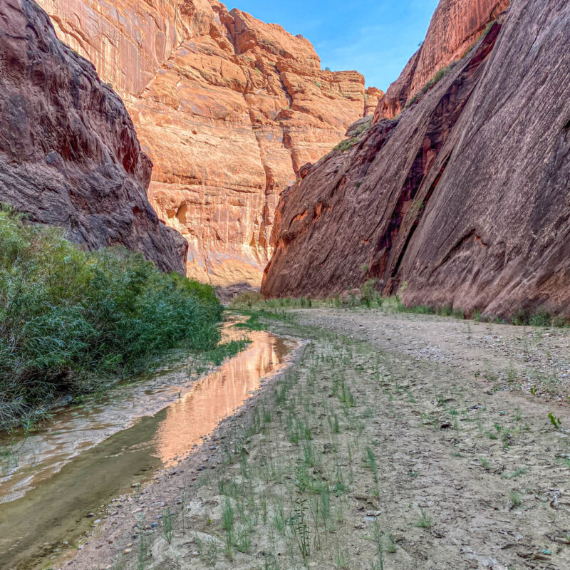 Paria Canyon