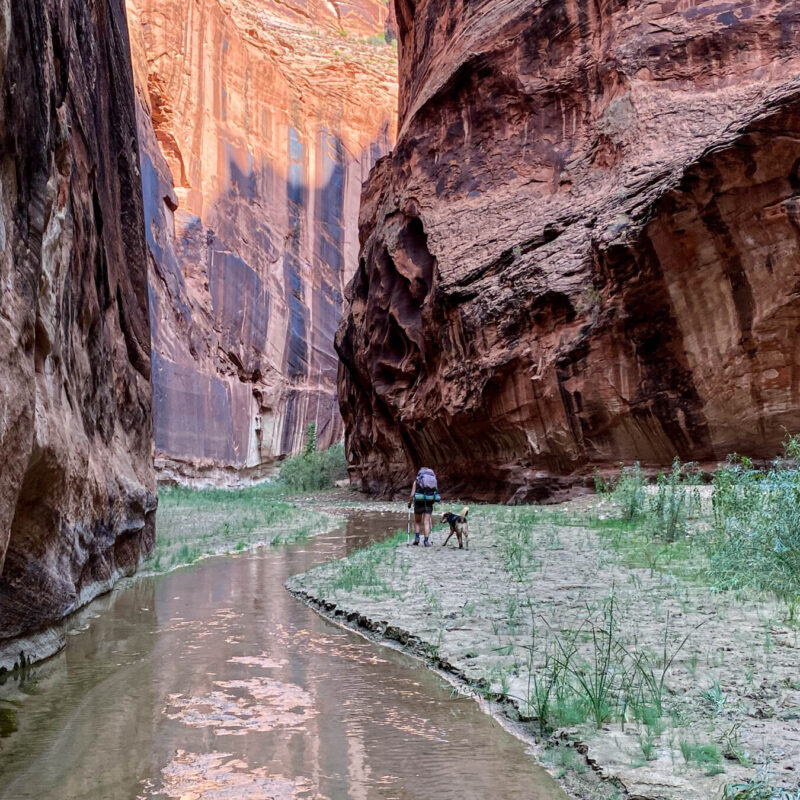 Paria Canyon