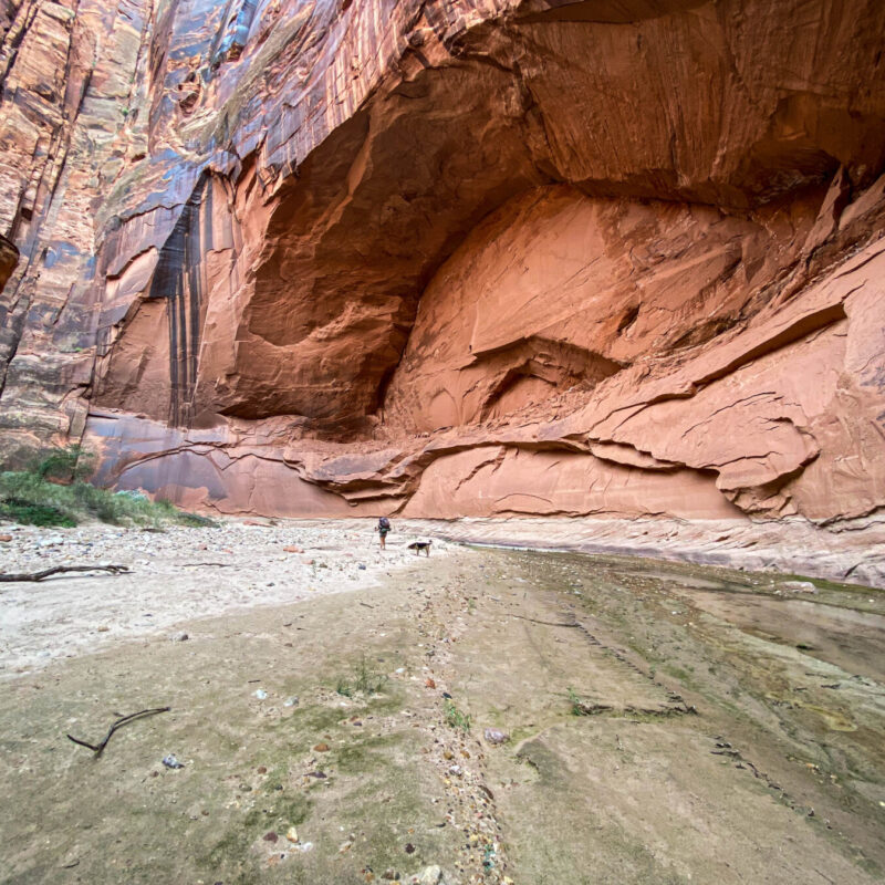 Yawning Walls
