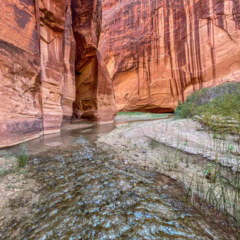 Paria Canyon