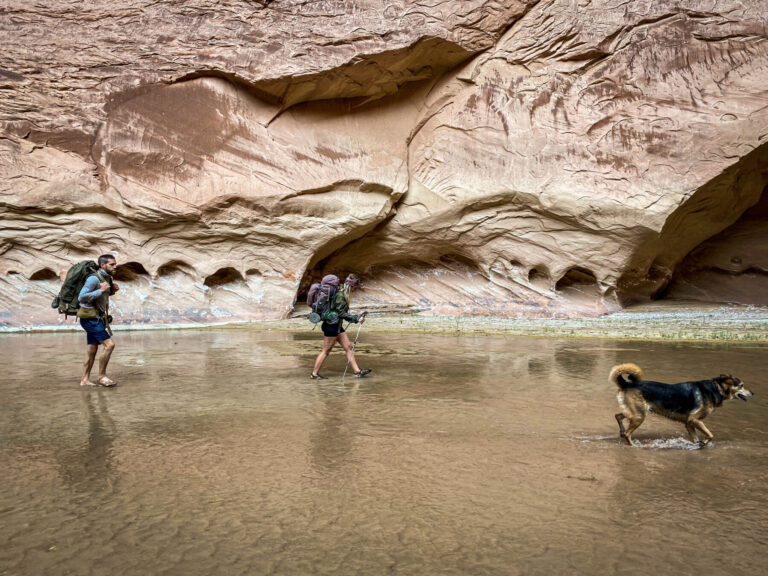 Into the Paria Canyon