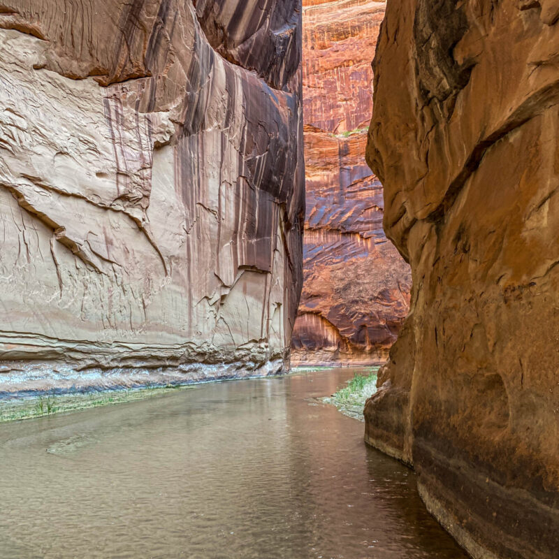 Paria Passageways