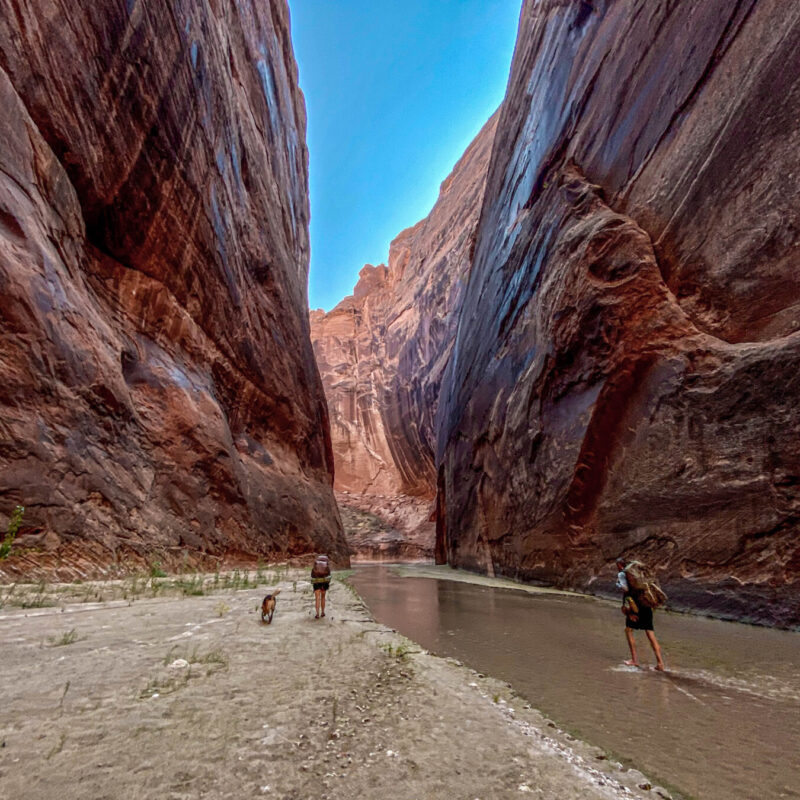 Paria Passageways