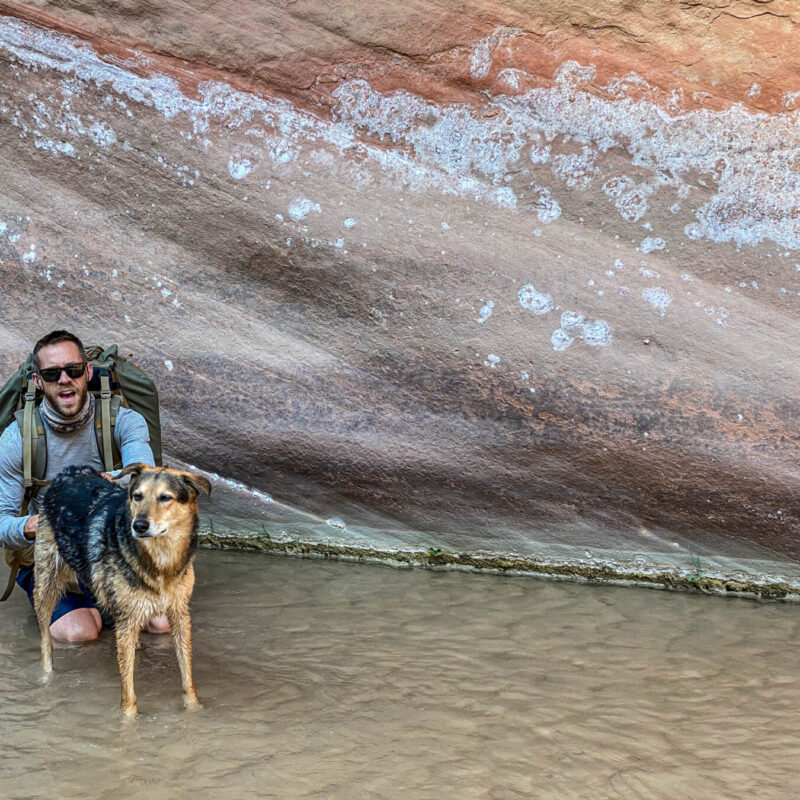 Man and Pup