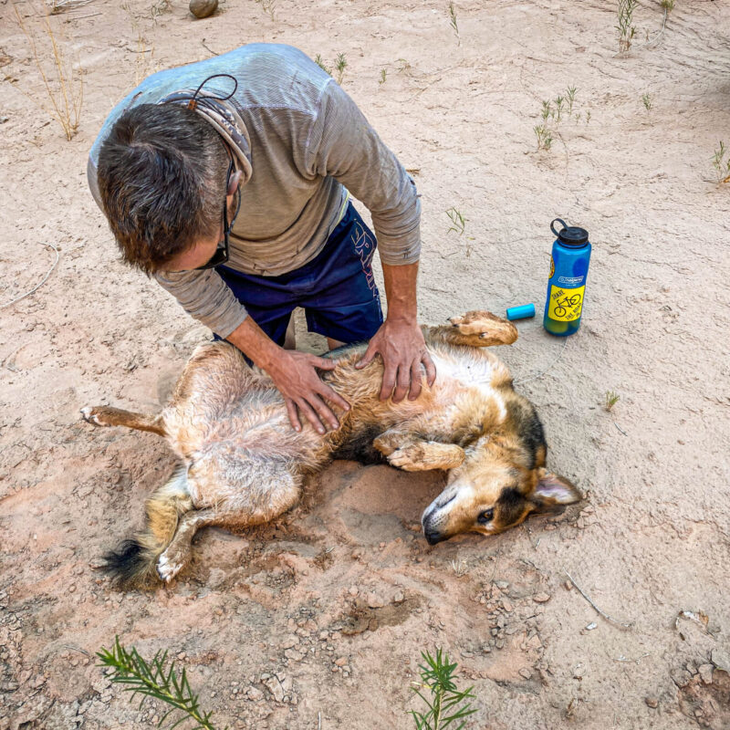 Tummy Rubs for the Dirty
