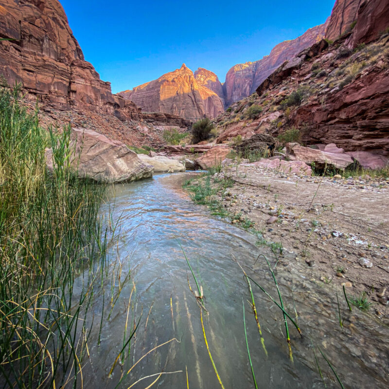 Riparian Zone