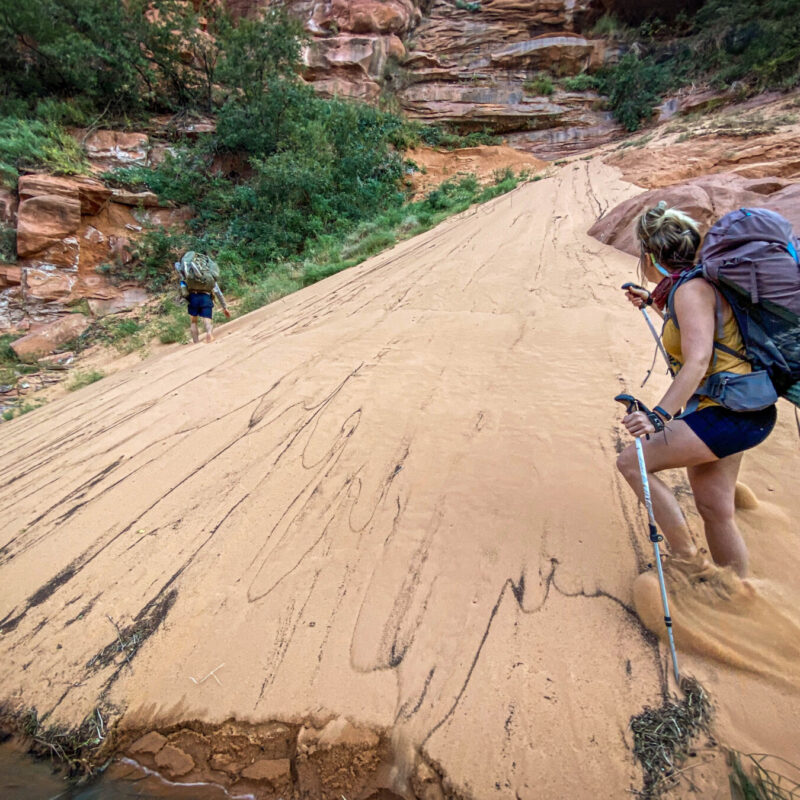 Sand Dune Hijinks