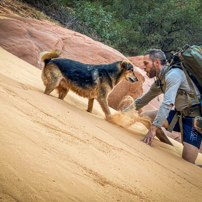Sand Dune Hijinks