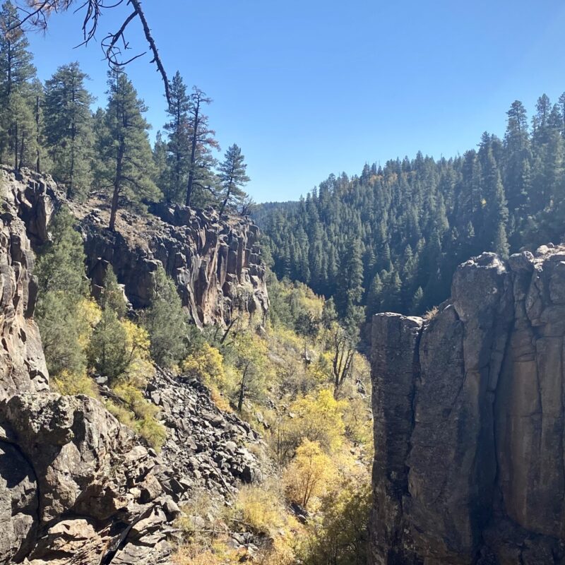 Sights of the Sycamore Rim