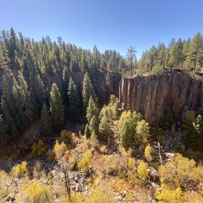 Sights of the Sycamore Rim