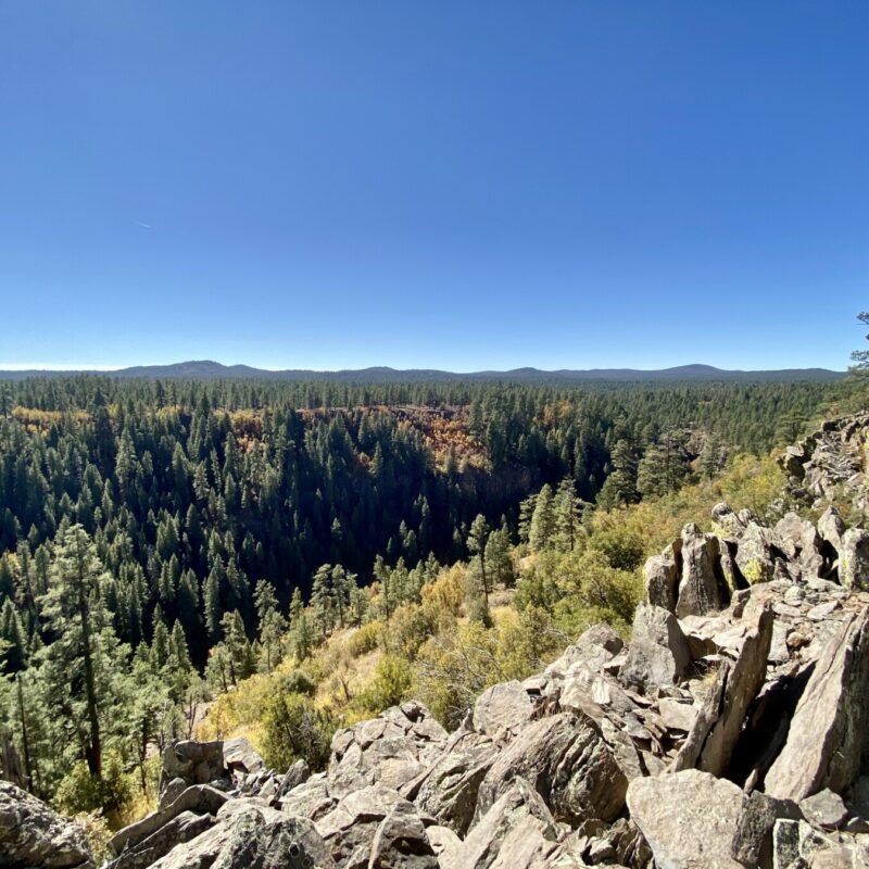 Sights of the Sycamore Rim