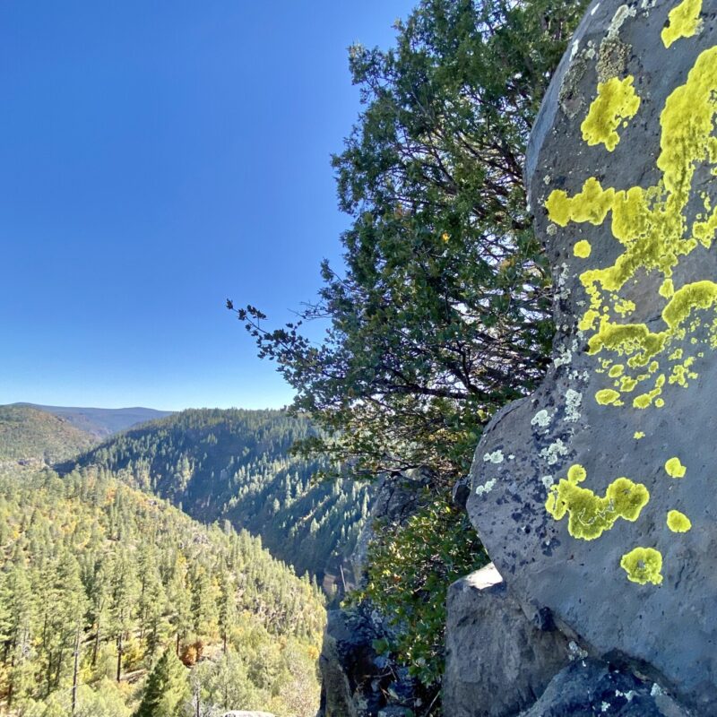 Sights of the Sycamore Rim