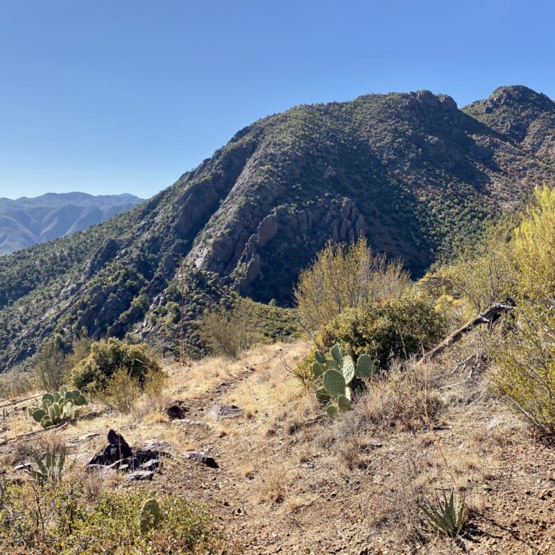 Mazatzal Wilderness