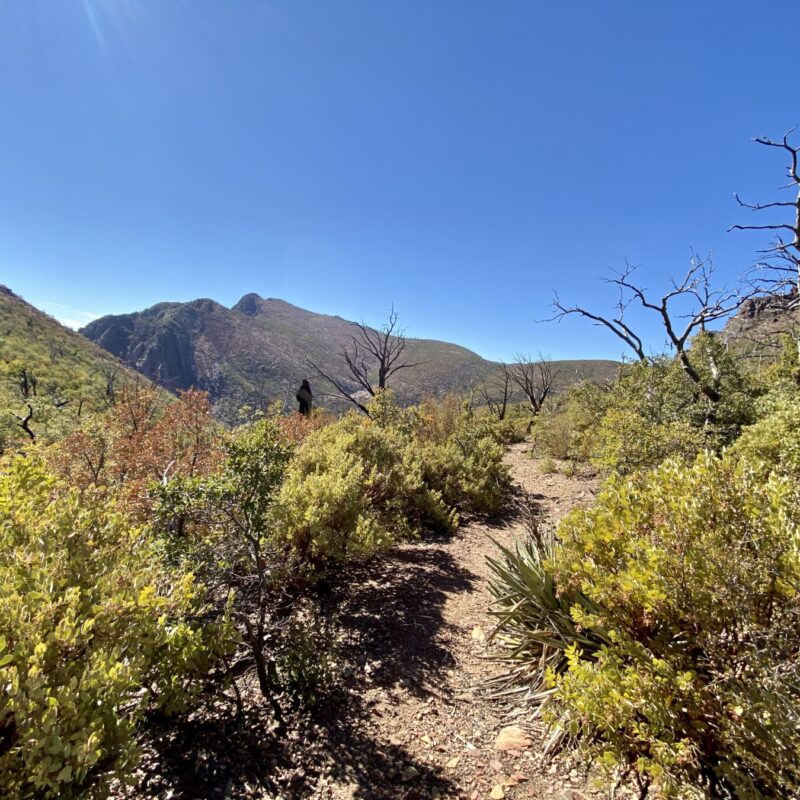 Mazatzal Wilderness