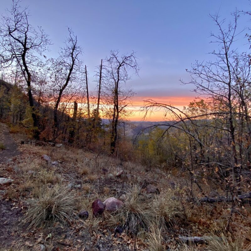Mazatzal Wilderness