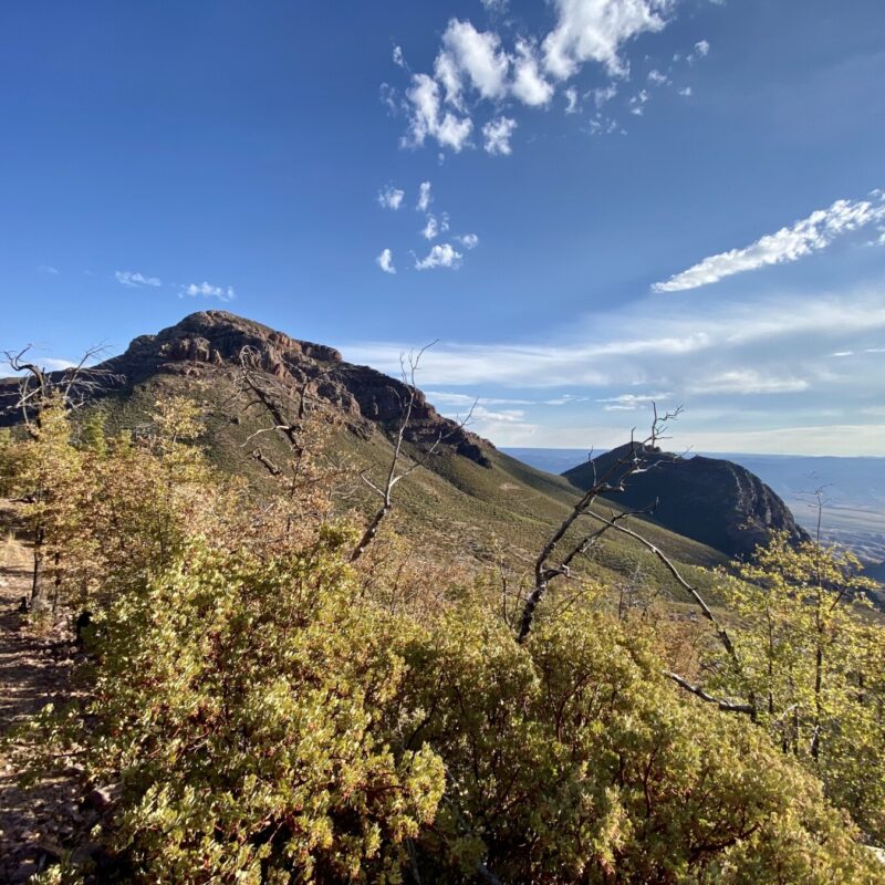 Mazatzal Wilderness