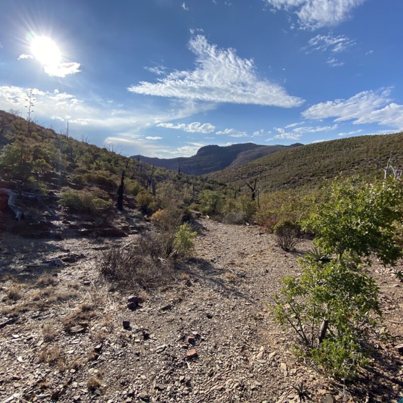 Mazatzal Wilderness