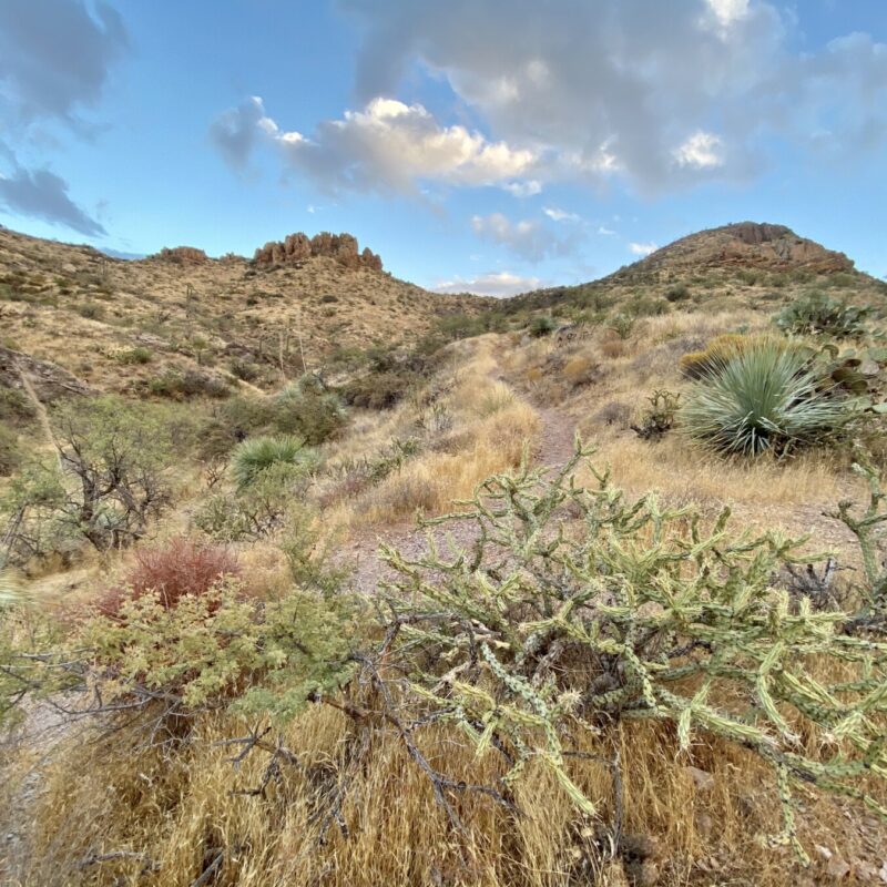 Alamo Canyon Sights