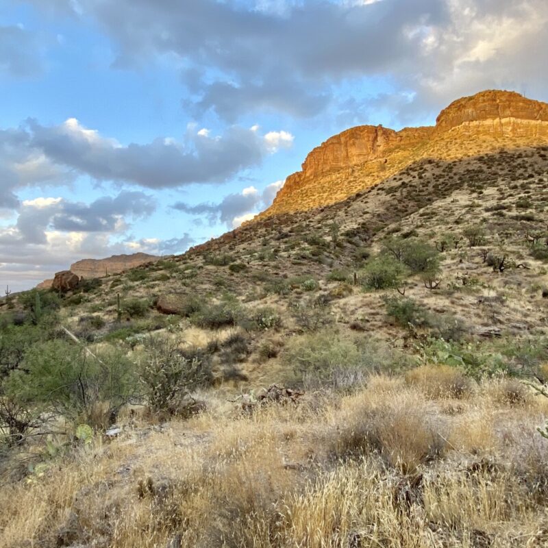 Alamo Canyon Sights