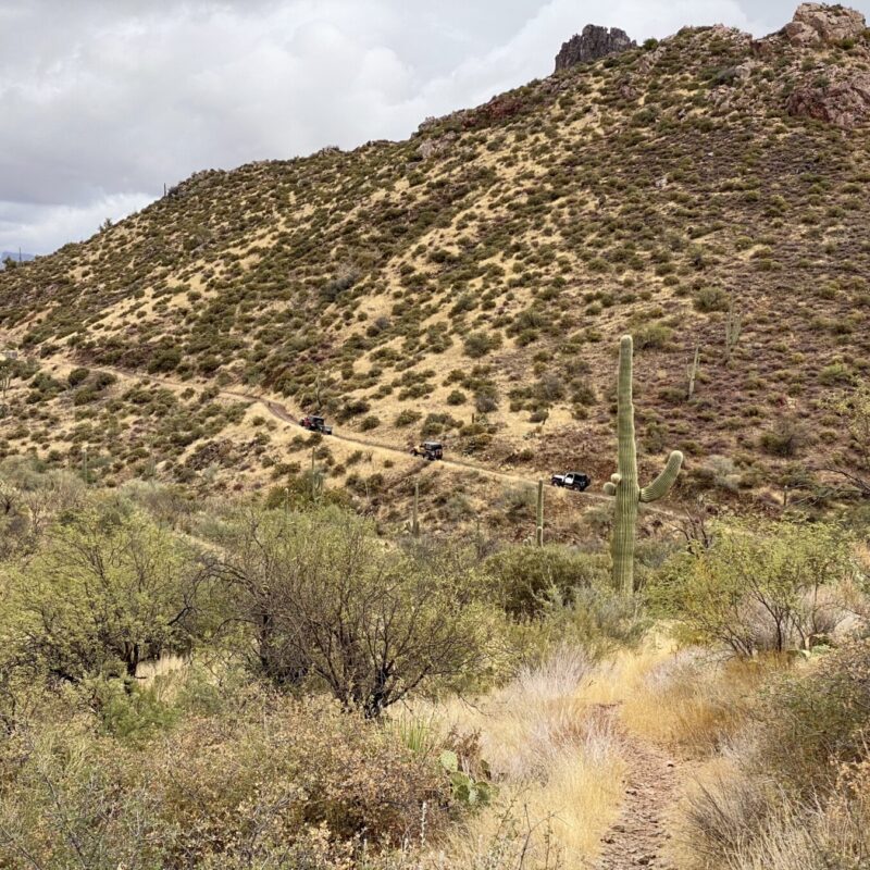 Alamo Canyon Sights