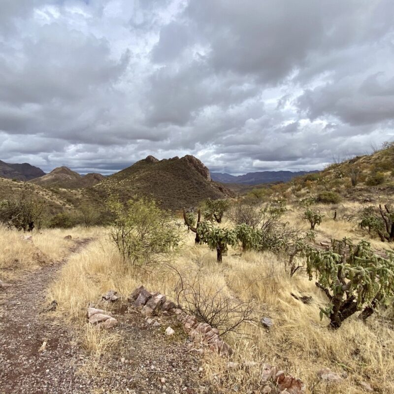 Alamo Canyon Sights