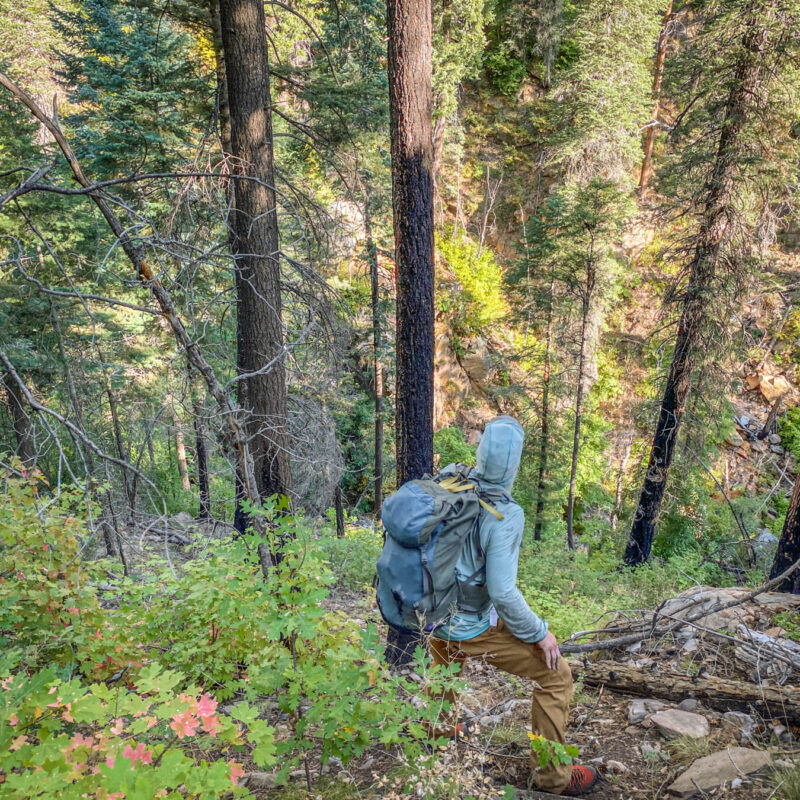 Oak Creek Canyon Exploring