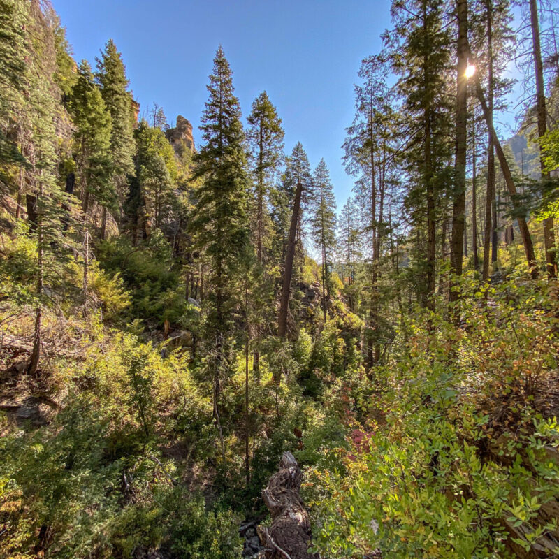 Oak Creek Canyon Exploring