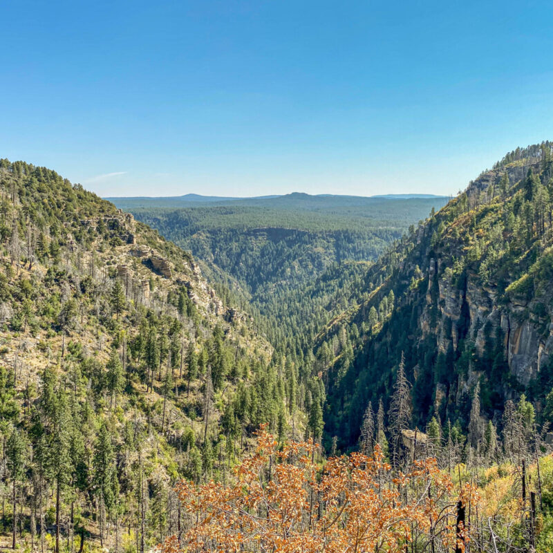 Atop the Oak Creek Canyon At Last