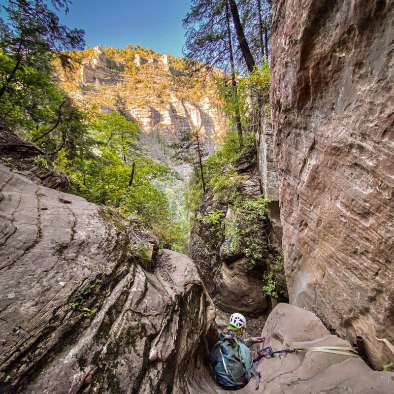 Portrait Mode Rappeling