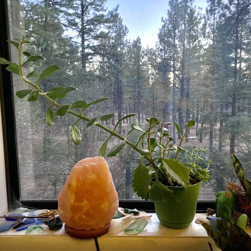 Bent Succulent