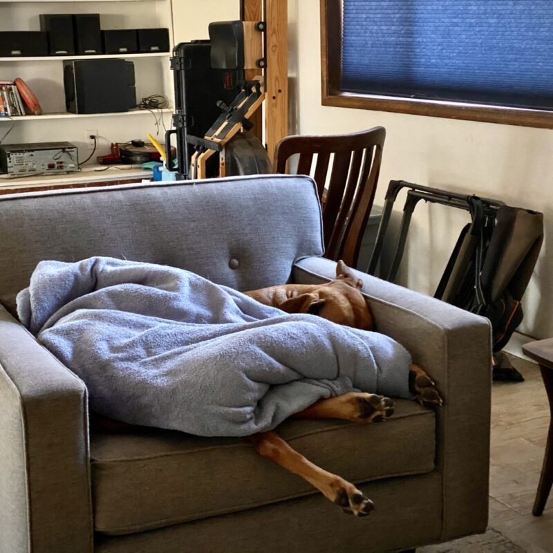 Mowgli Sleeps