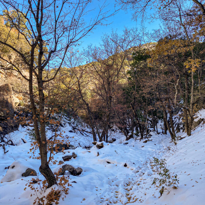 Big Bend - Snow Hiking 2