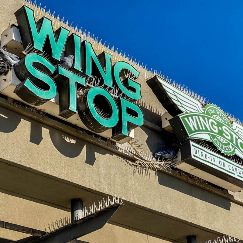 Hard Pass on Those Wings
