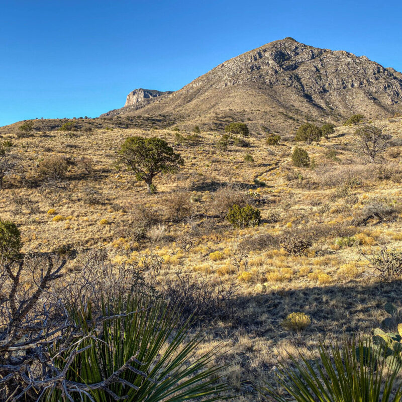 Guadalupe Mountains - Pine Springs