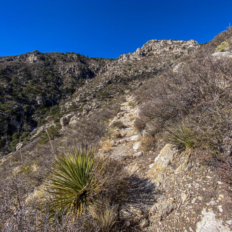 Guadalupe Mountains - Bear Canyon