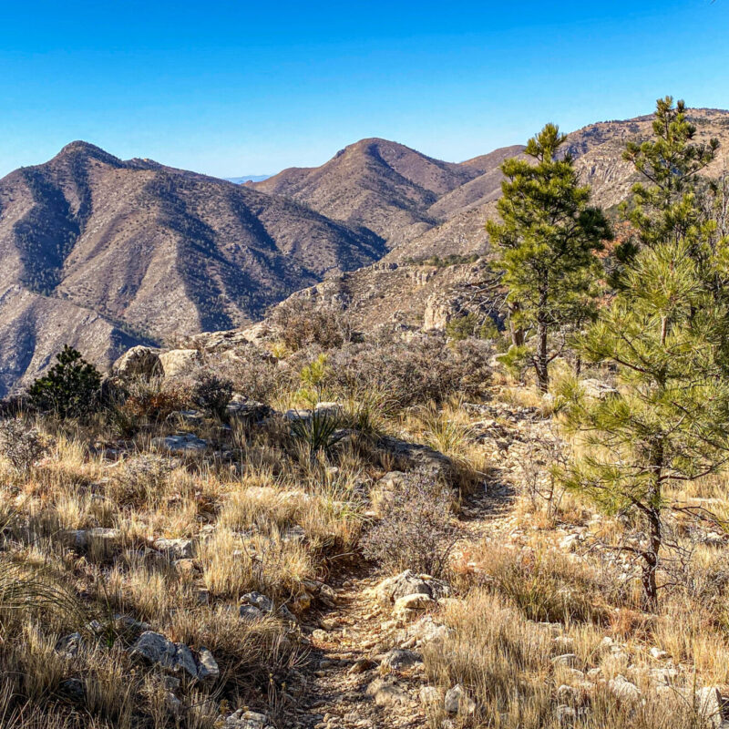 Guadalupe Mountains - Bowl Trail