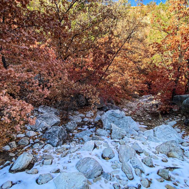 Guadalupe Mountains - Tejas Trail wash