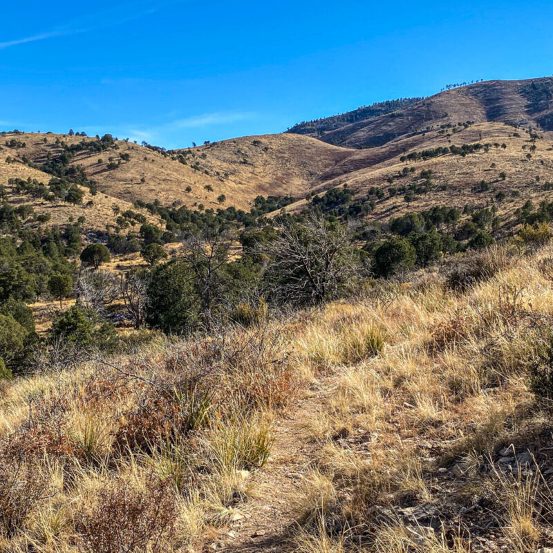 Guadalupe Mountains - Bush Mountain Trail II