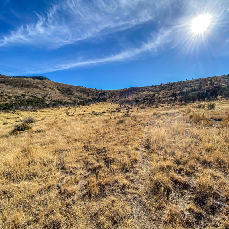 Guadalupe Mountains - Bush Mountain Trail III